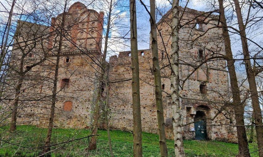 Ruiny zamku w Drzewicy, Drzewica, Poland, Poland